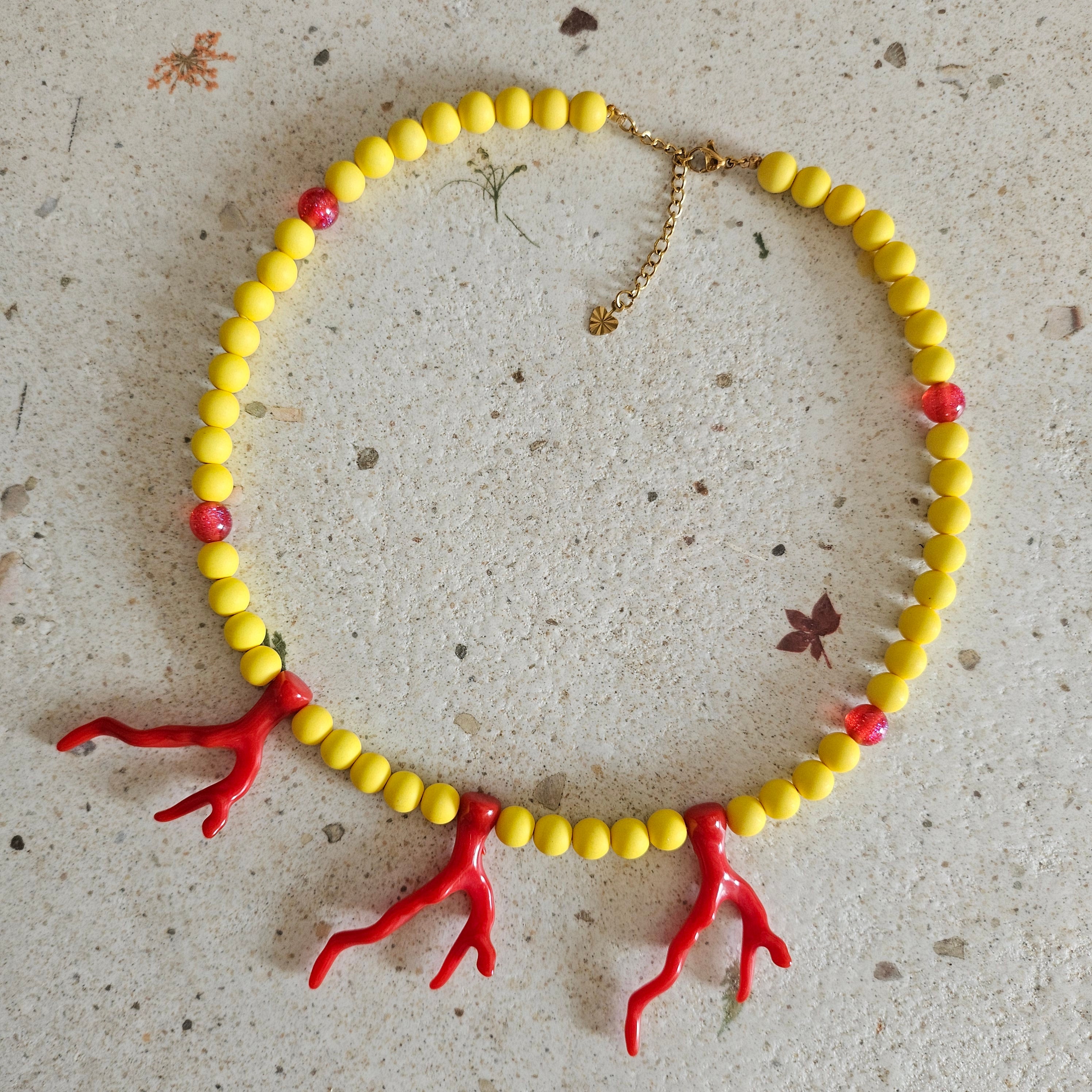 Corail Pop
