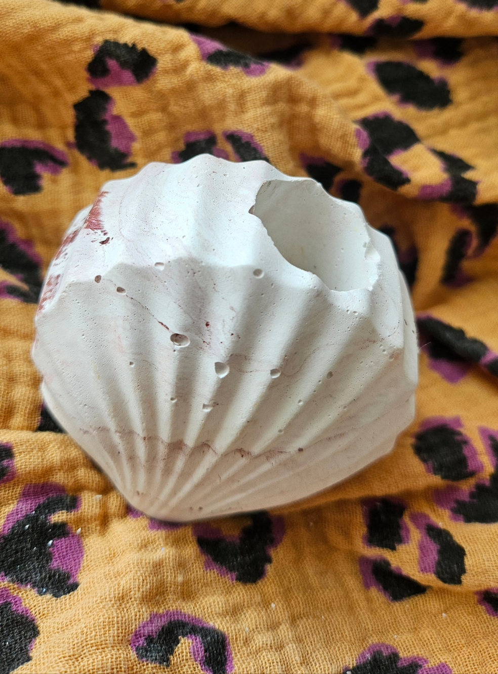 Bougeoir coquillage