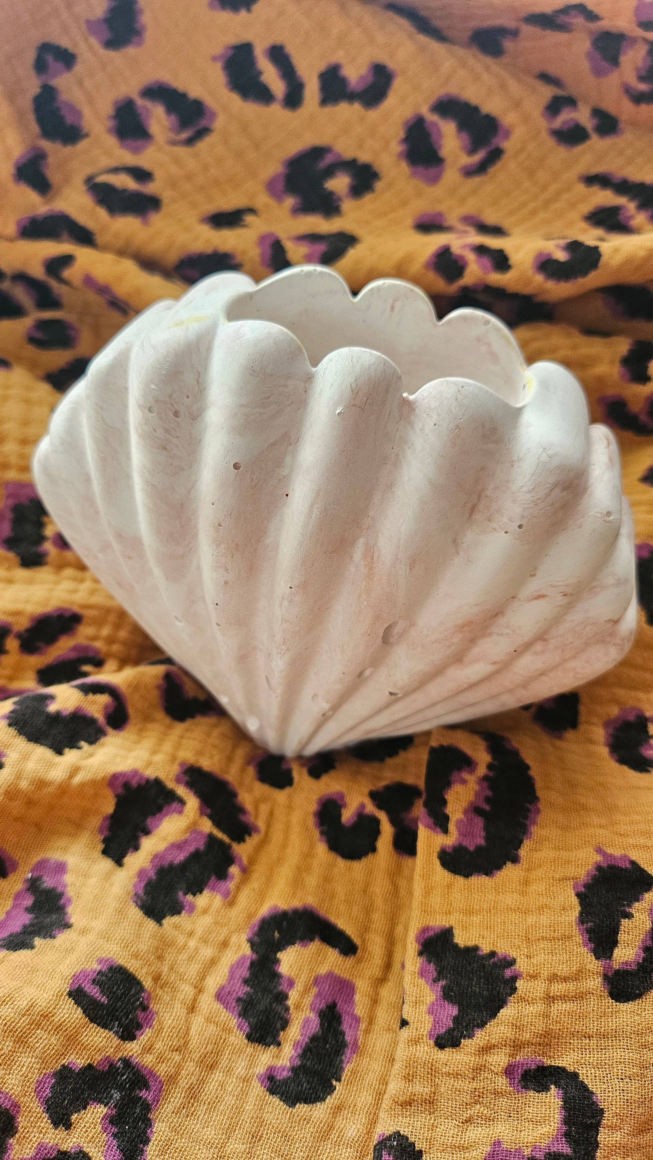 Vase coquillage