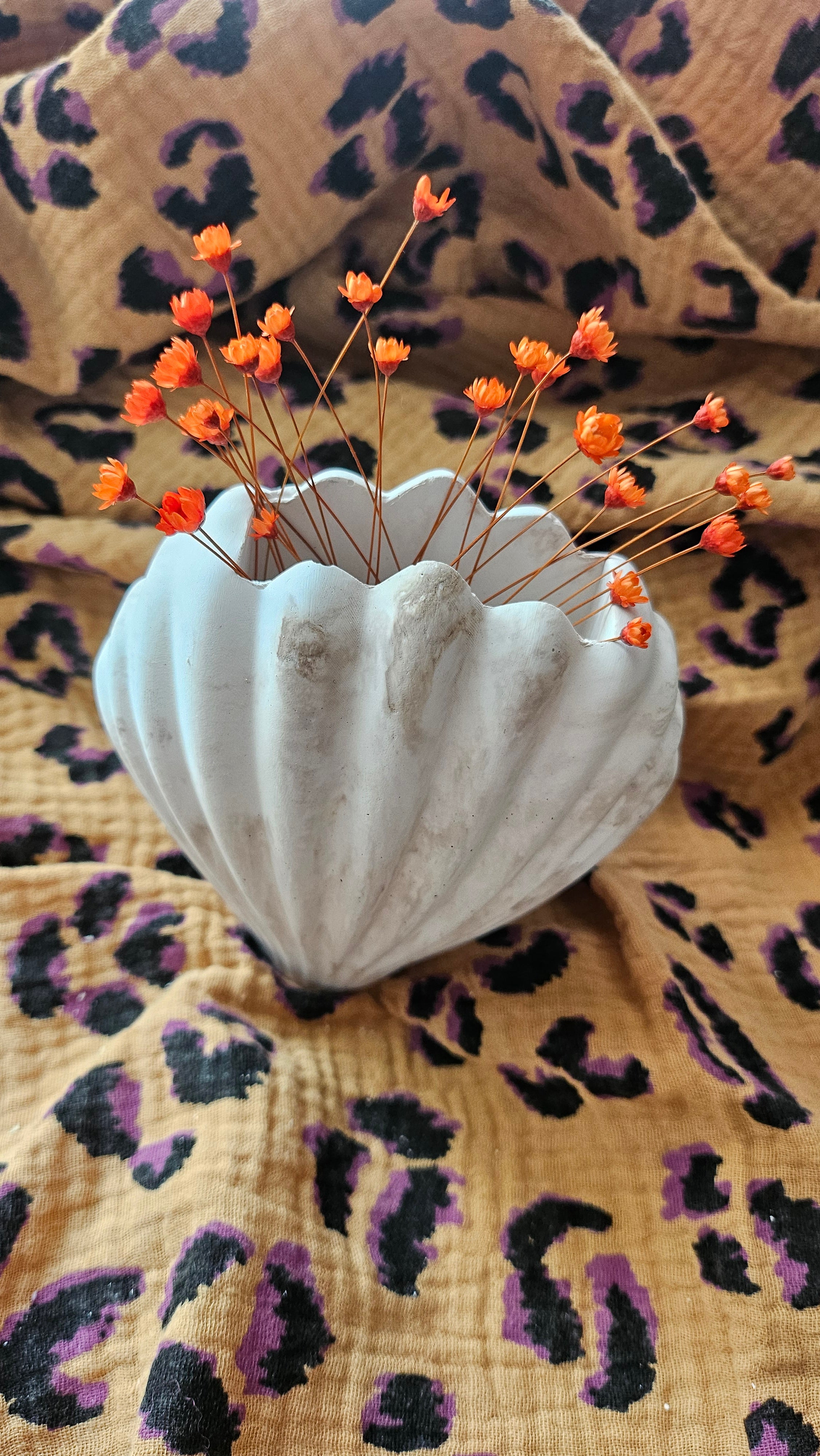 Vase coquillage