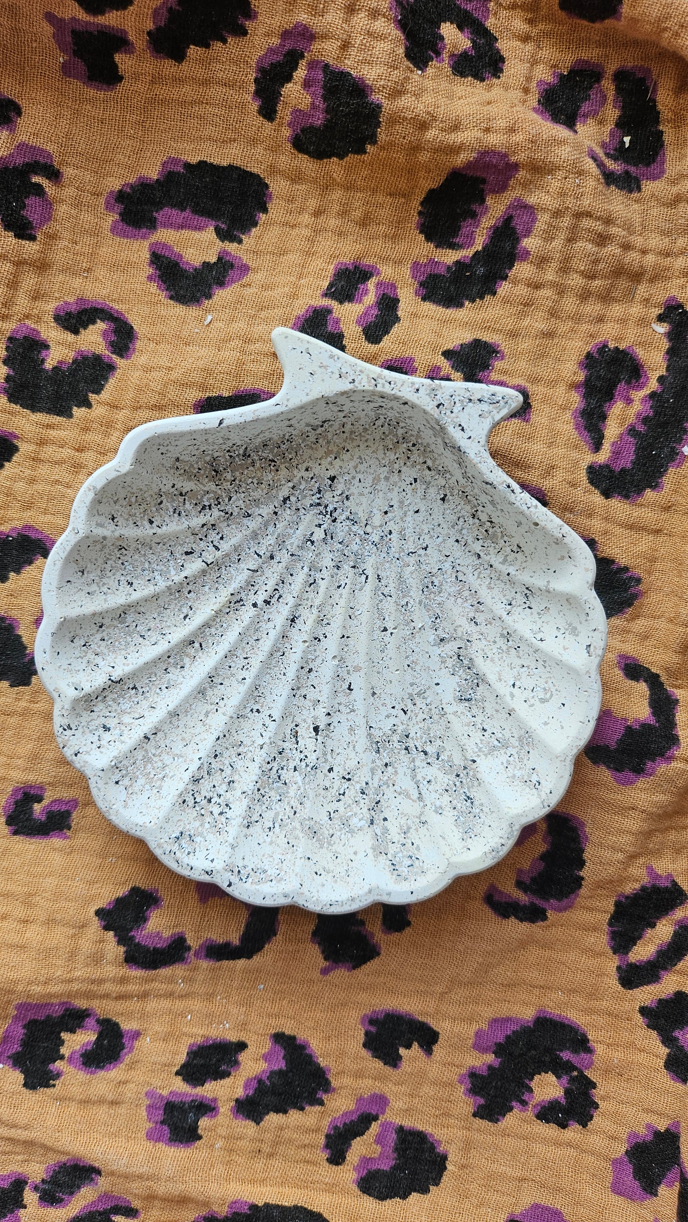 Coquille