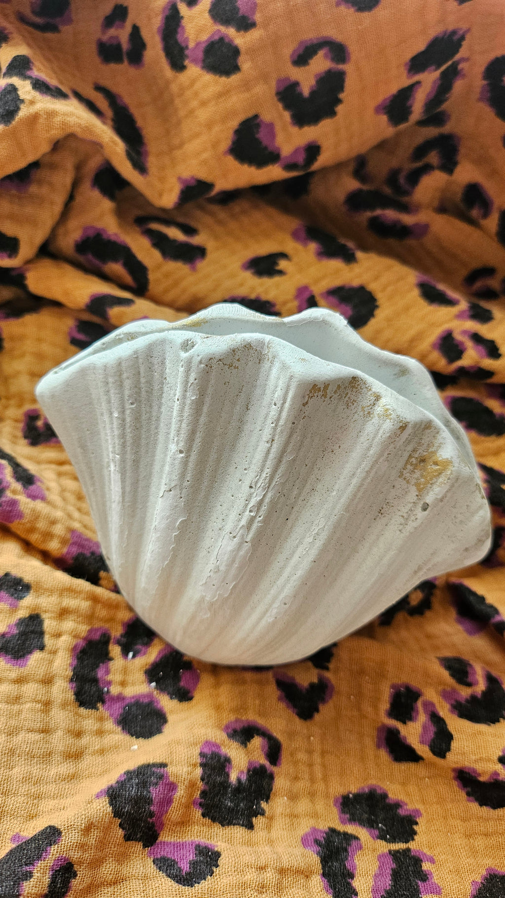 Vase coquillage