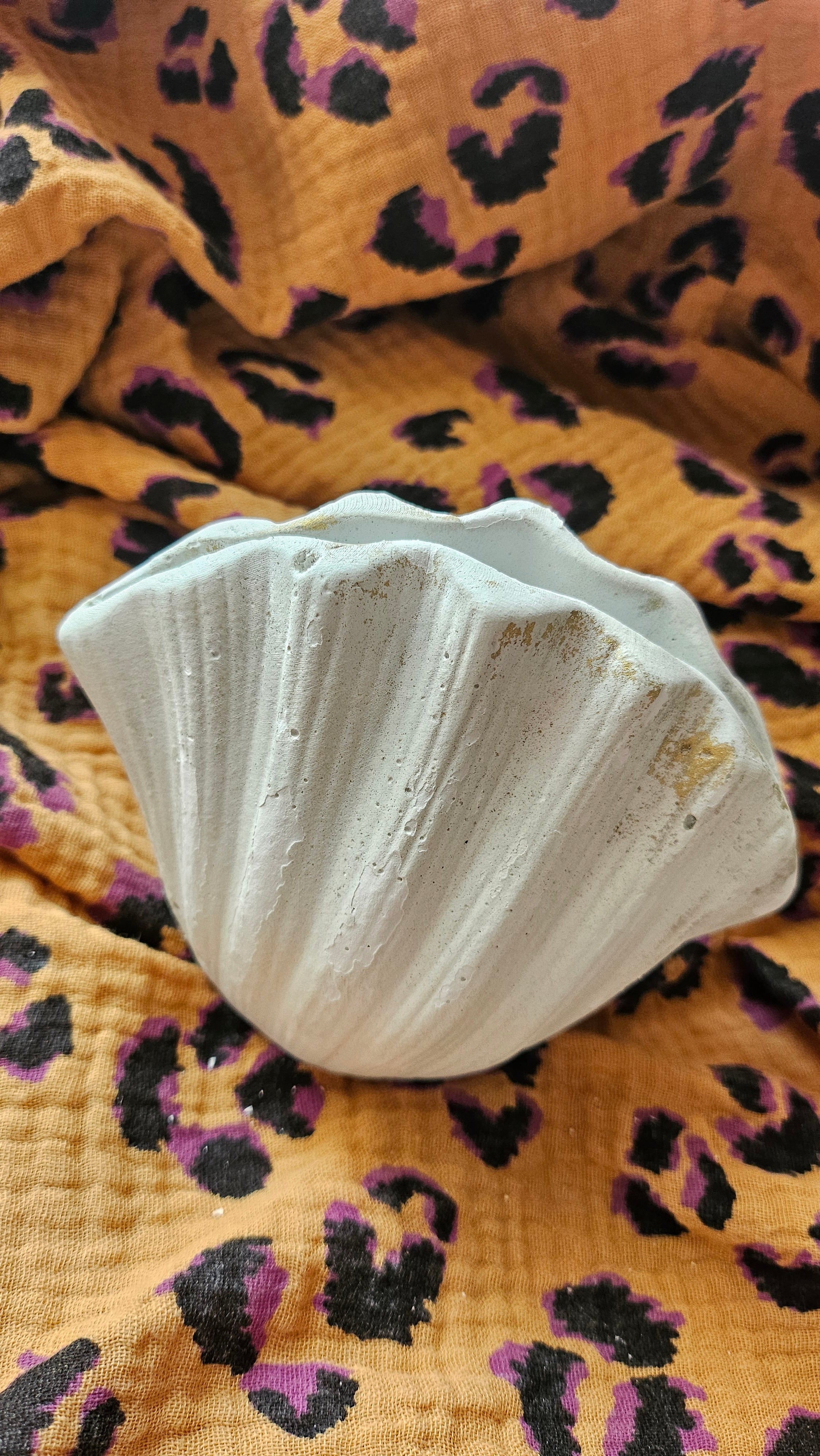 Vase coquillage