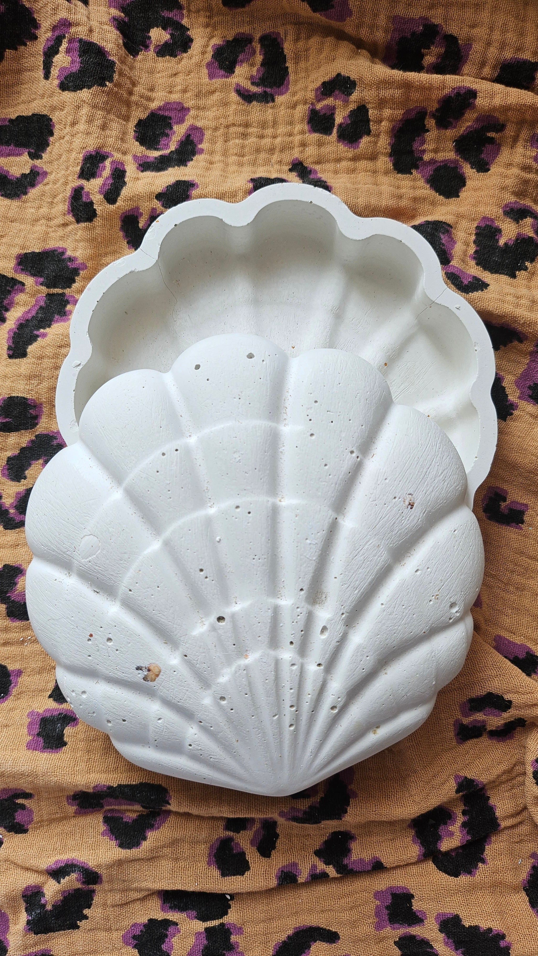 Boîte coquillage