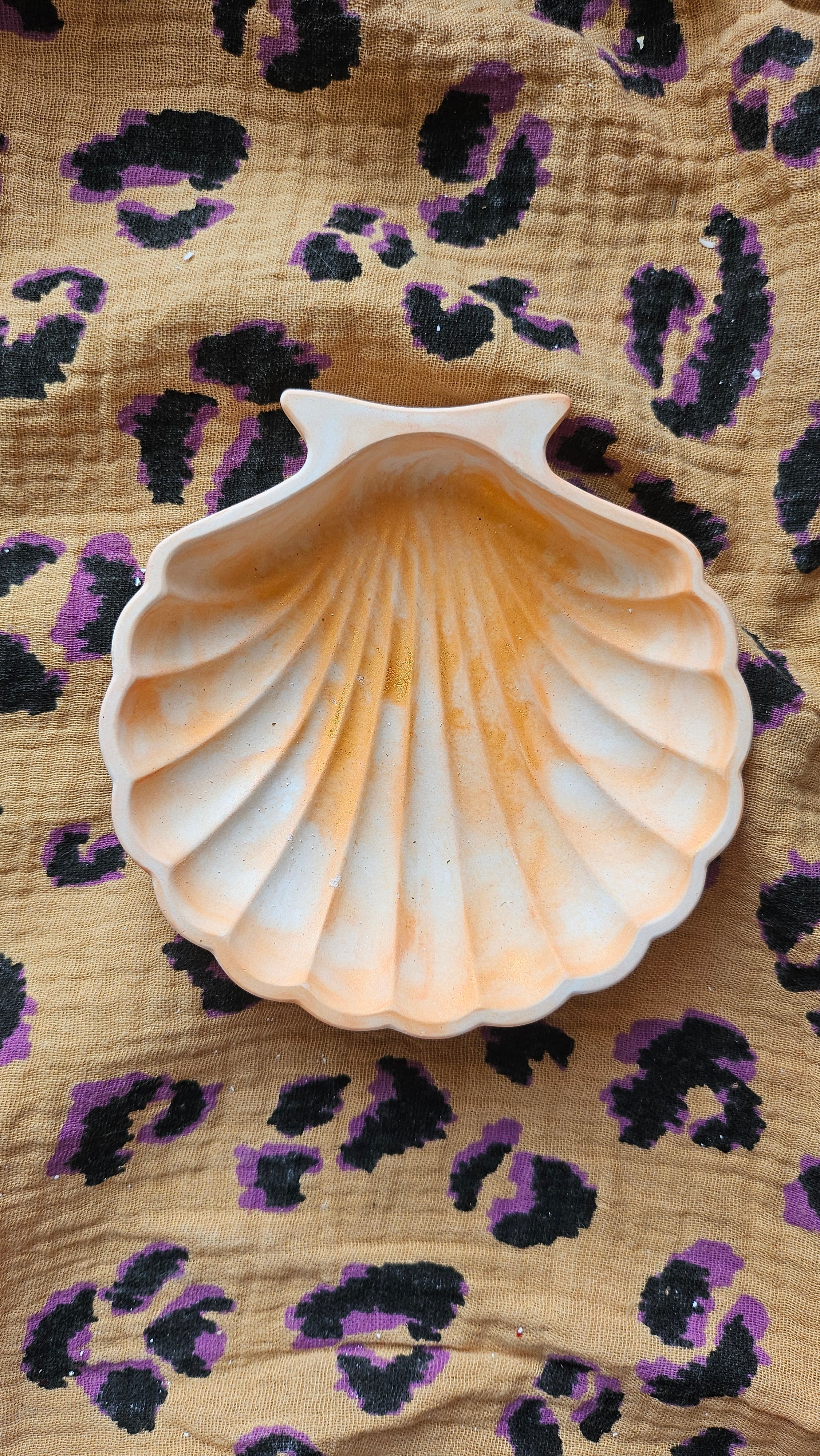 Coquille