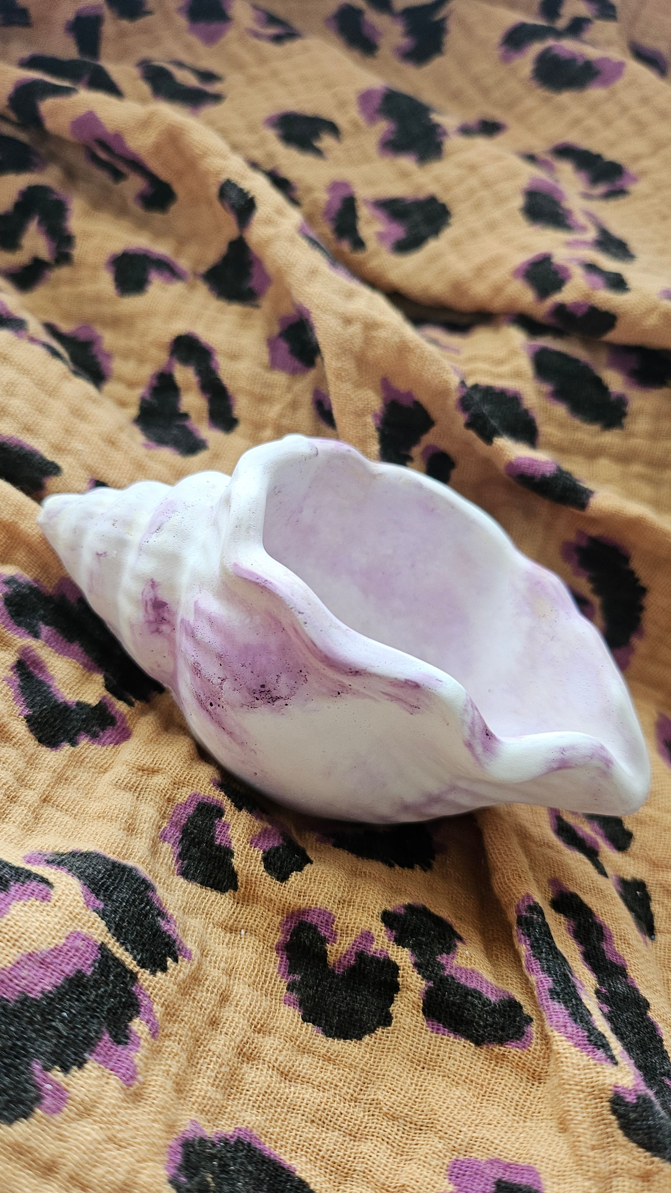 Coquillage